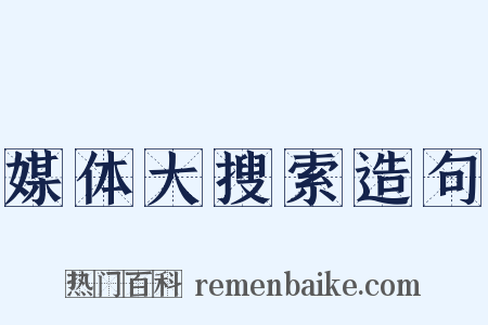 媒体大搜索造句是什么意思的图片
